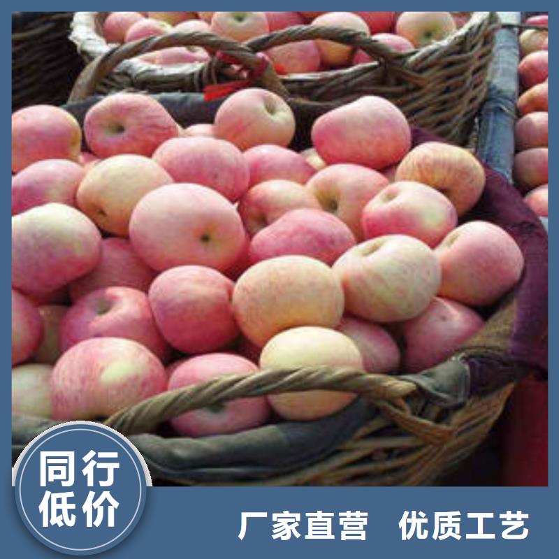 北京
红富士苹果保质保量