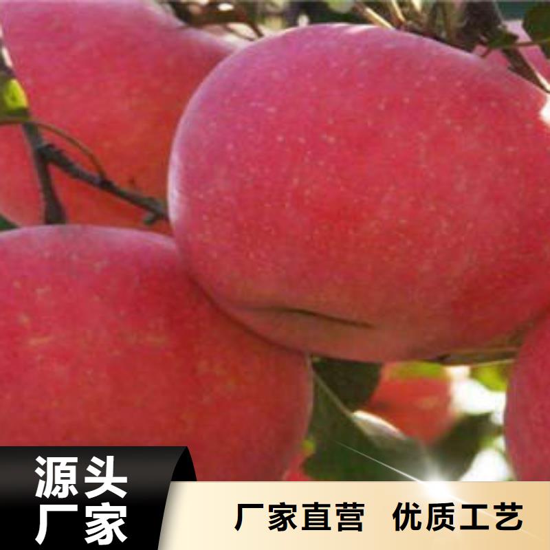 鞍山
红富士苹果产地