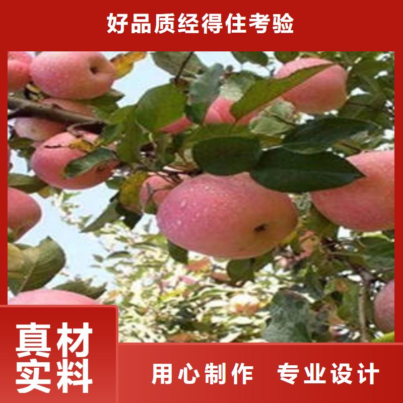 沈阳
红富士苹果栽培时间