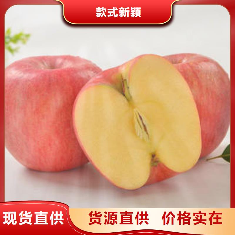 晋中本土
红富士苹果量大从优景才