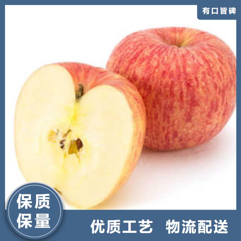 庆阳本土嘎啦苹果供应商景才