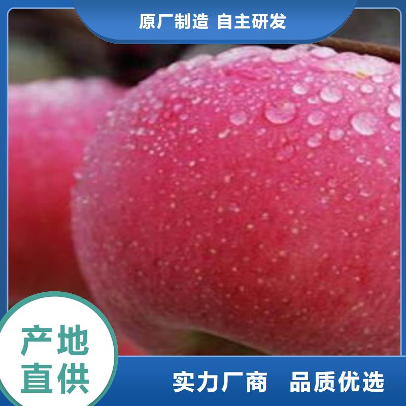 【十堰】买
红富士苹果生产基地景才