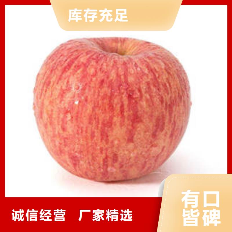 朝阳
红富士苹果成活率高