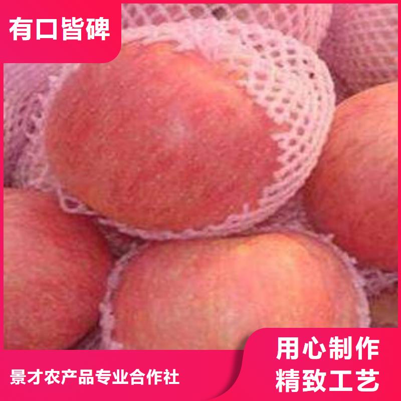 泸州
红富士苹果品种保证