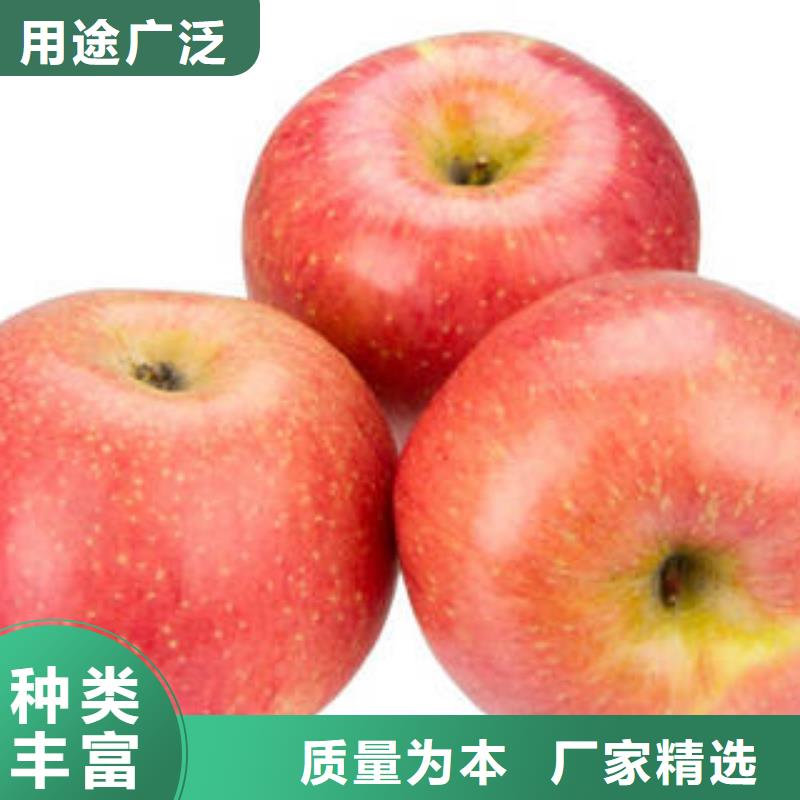 晋中本土
红富士苹果量大从优景才