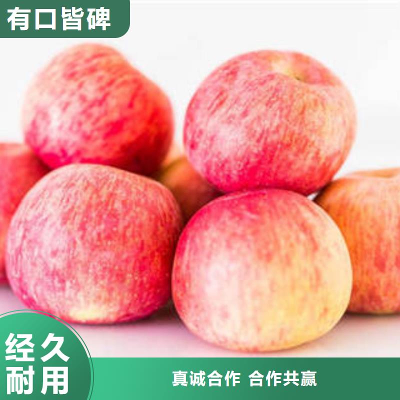 鞍山
红富士苹果一斤多少钱