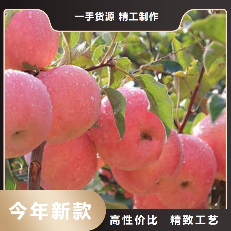天津
红富士苹果今日报价