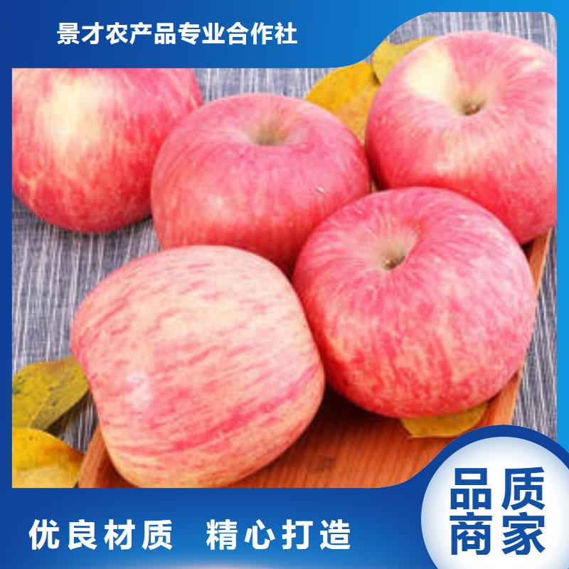 大厂生产品质[景才]红富士苹果【苹果种植基地】专注质量