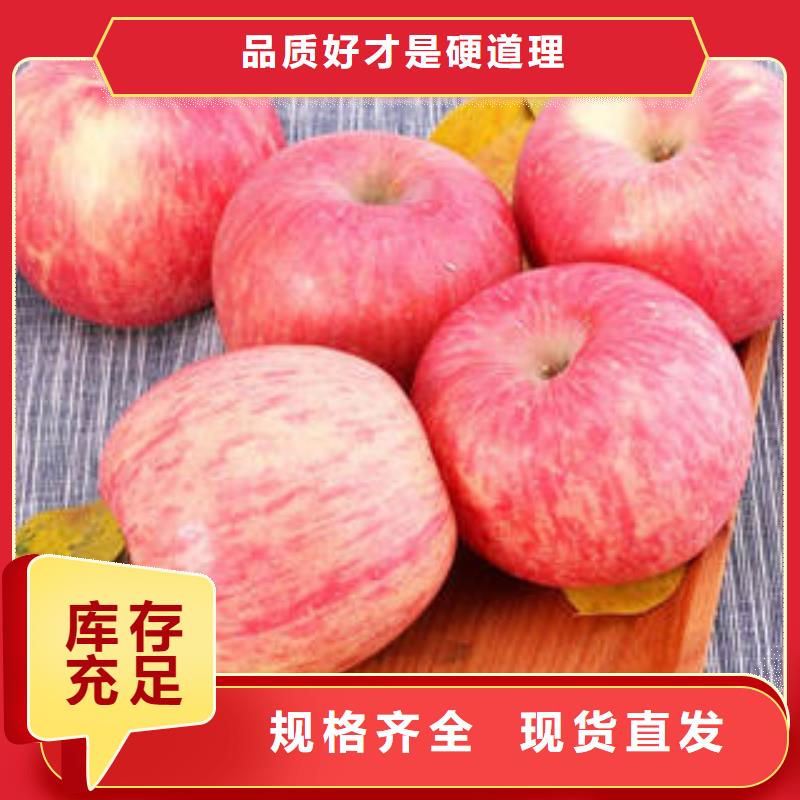定制(景才)红富士苹果【红富士苹果批发】适用范围广