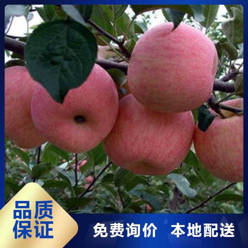 (景才)漳州苹果
合作社