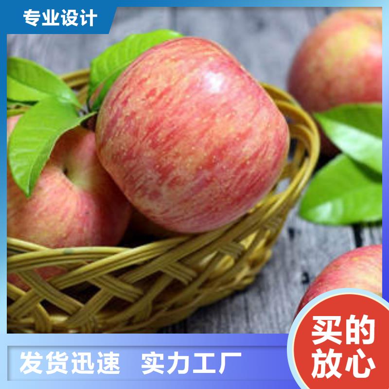 推荐商家【景才】红富士苹果苹果 好货直销