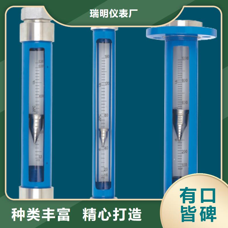 阳信G10-40氩气玻璃管转子流量计供应商