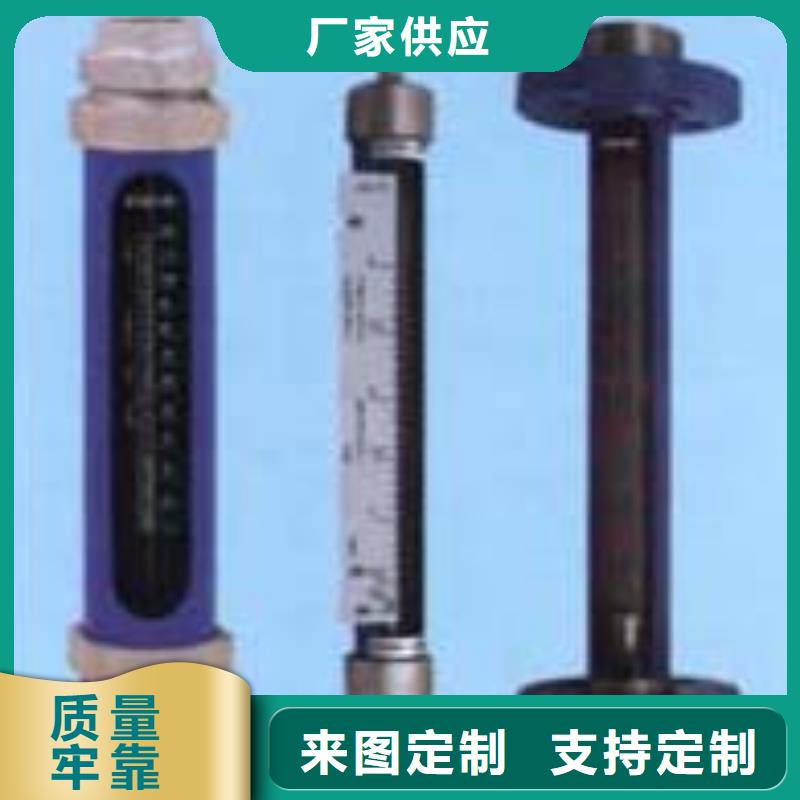 东丽G10-50氢气玻璃管浮子流量计品牌