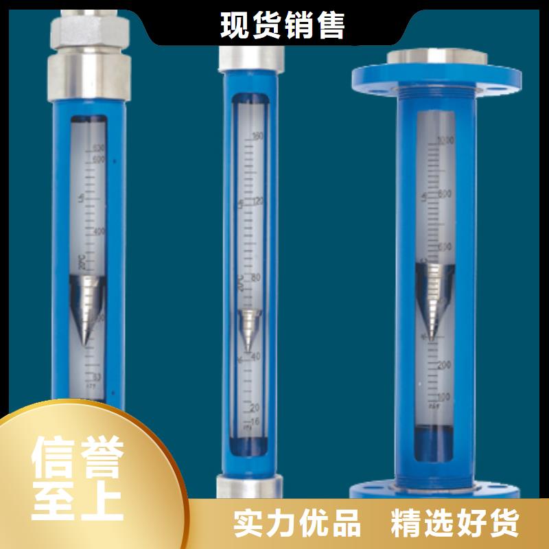 泾县SA10-50F臭氧玻璃管浮子流量计量程