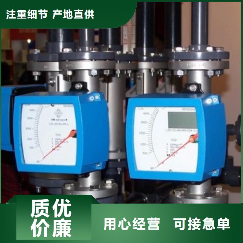 东平LZZ-80防爆型金属管转子流量计参数