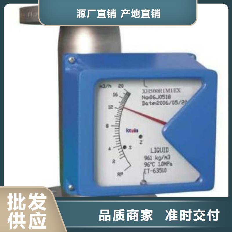 镇海LZ-50氧气金属管转子流量计批发商