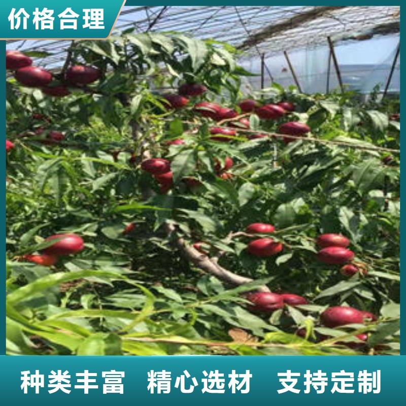 12厘米种植方法