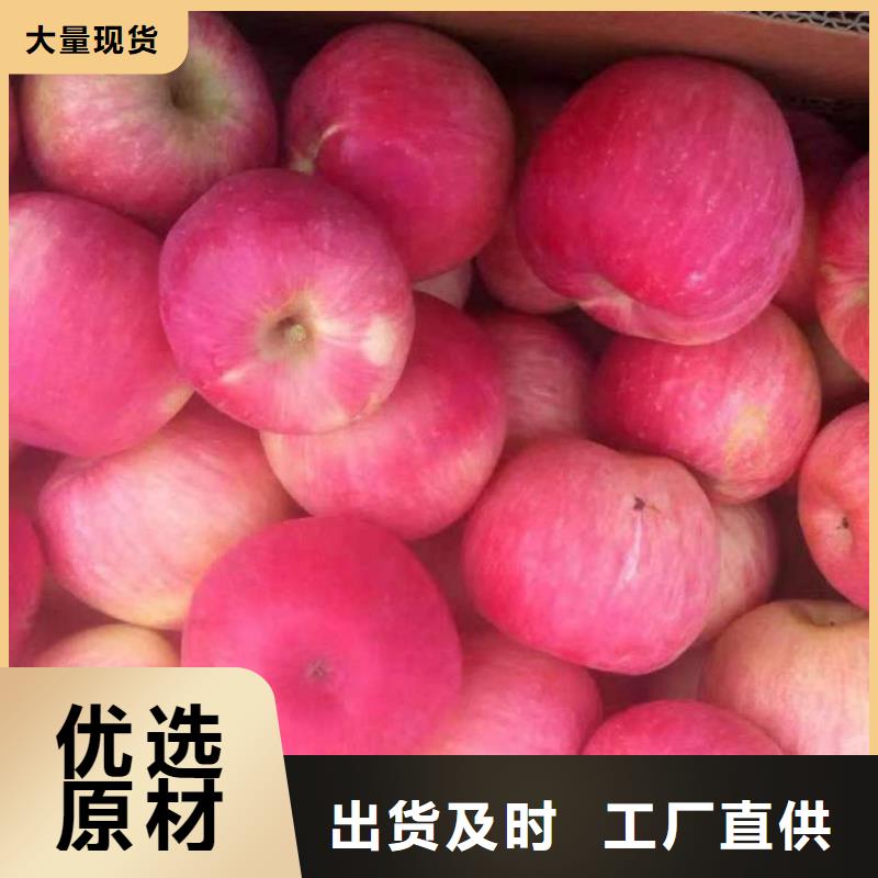 矮化苹果苗批发多少钱