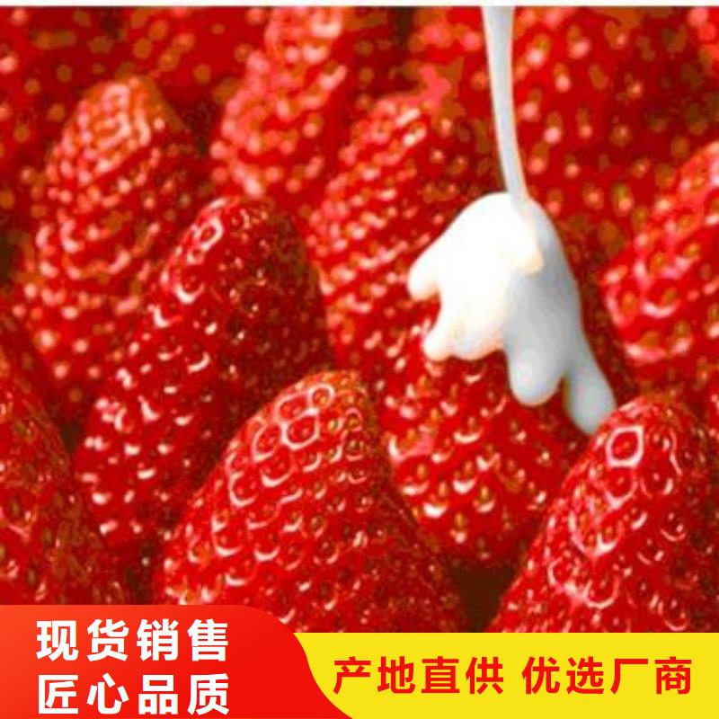 台湾现货红霞草莓苗草莓树苗价格