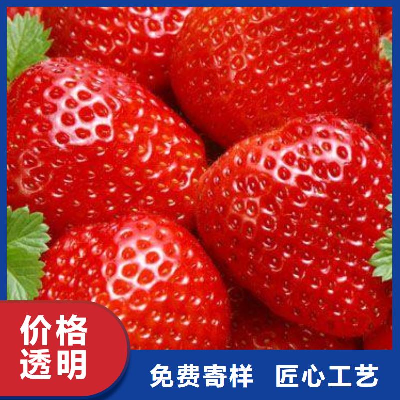 草莓苗【桃树苗】专注生产N年