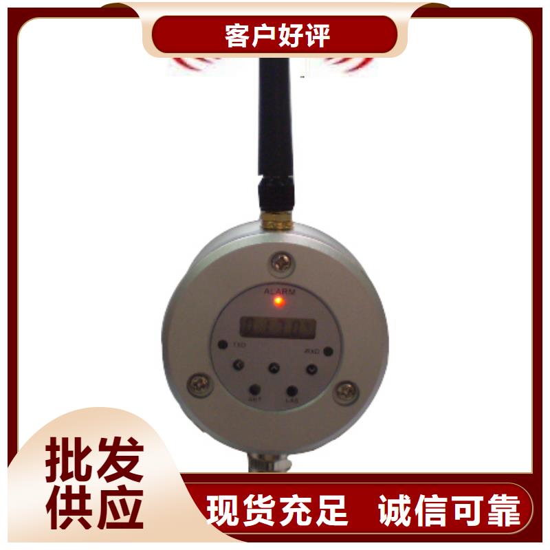 上海伍贺IRTP300LS在线式红外测温探头