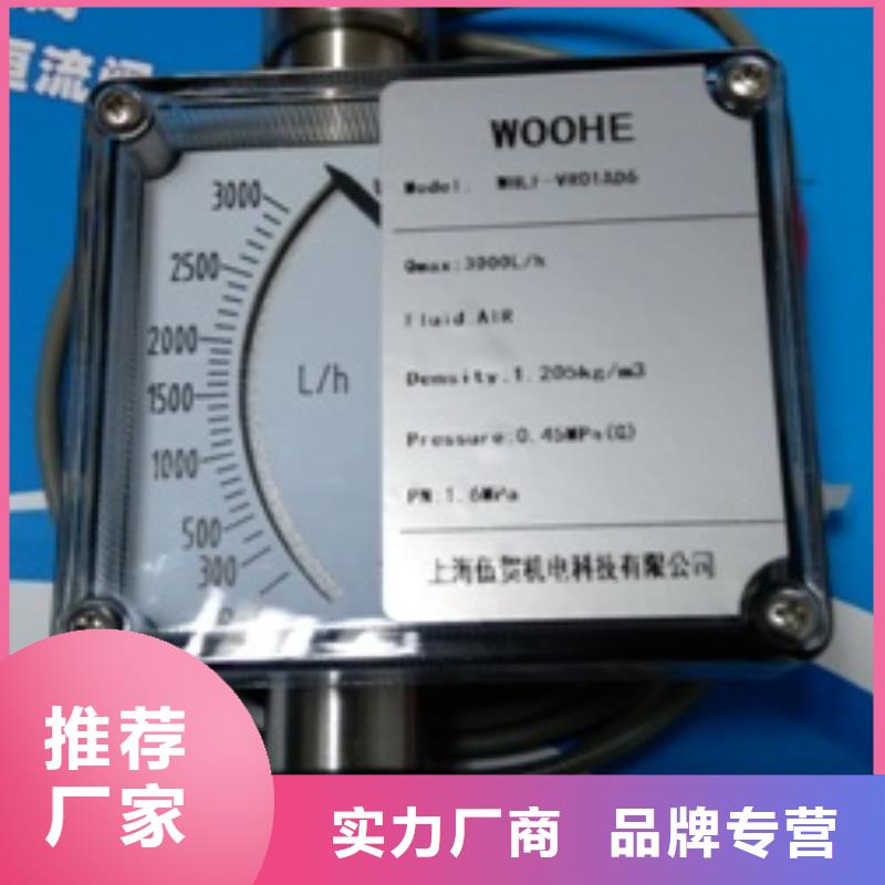 一站式供应厂家{伍贺}上海金属转子流量计质量可靠应用广泛woohe