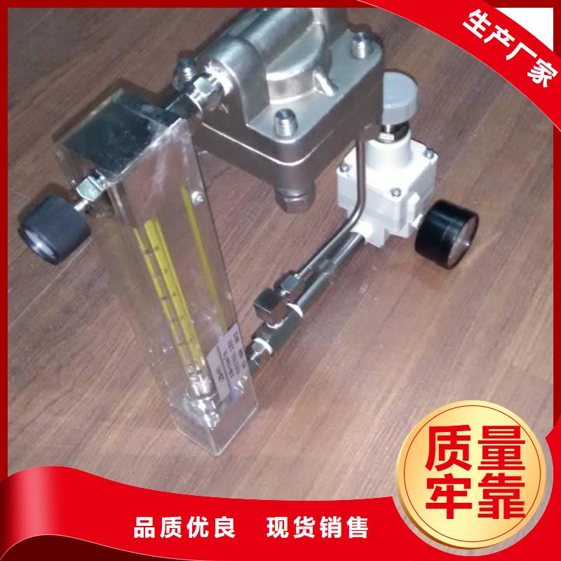 上海伍贺吹扫装置气体最小流量5~50L/h高质量