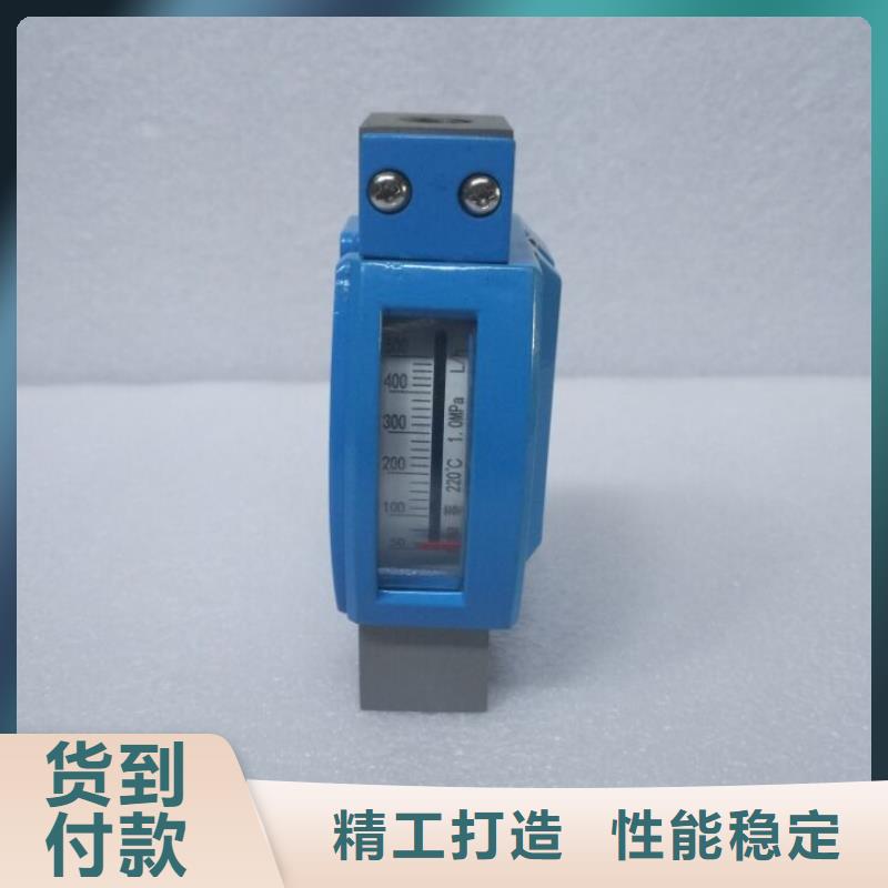 昭通销售上海伍贺0.2~2L/h微小流量计质量可靠woohe