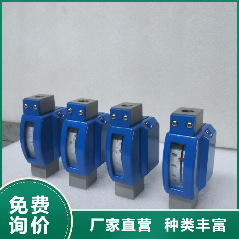 【巴中】销售DK32微小流量计锥管型上海伍贺机电