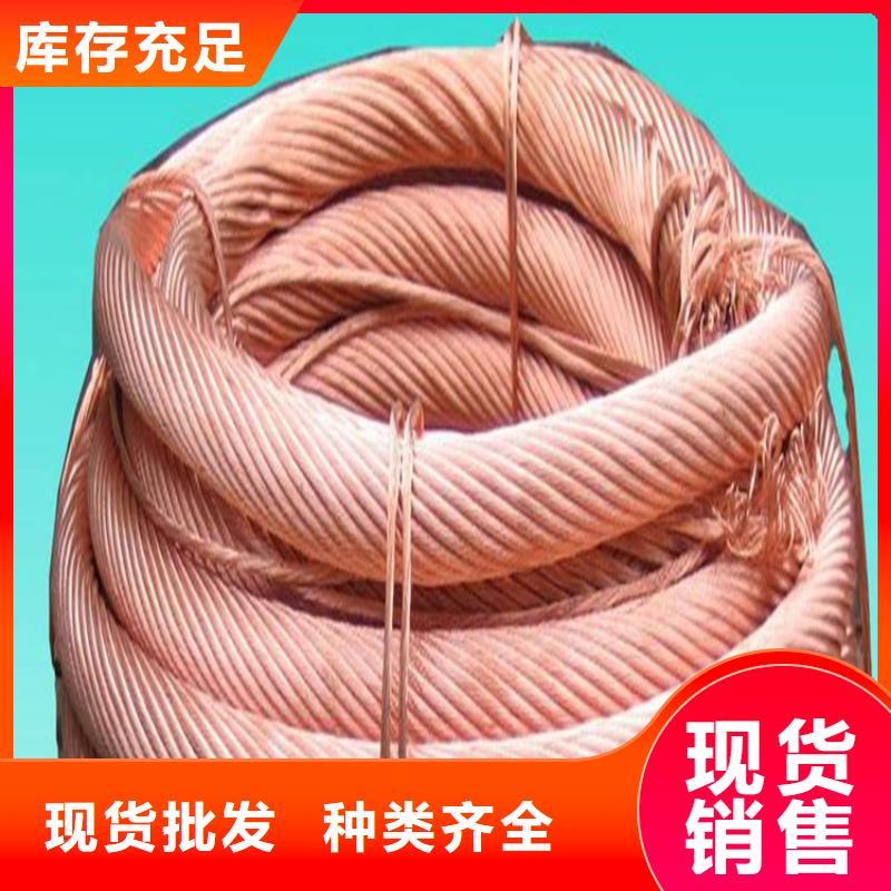 宾川TJR120平方软铜绞线大电流铜绞线软连接