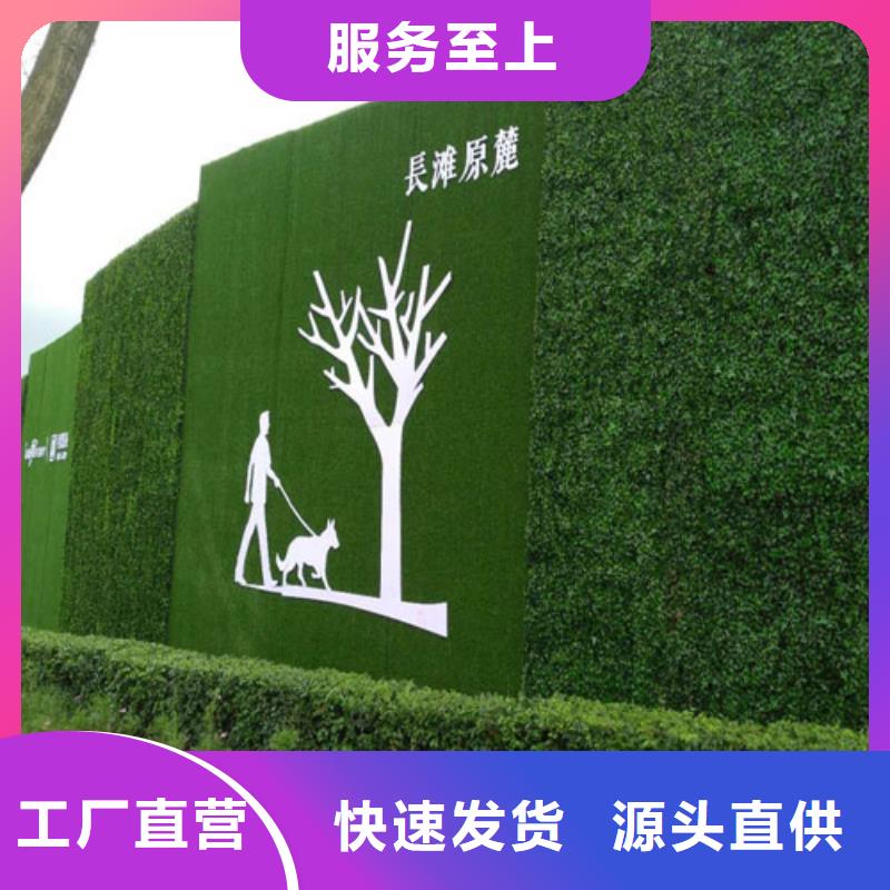 草坪围挡人工草坪围挡多年行业积累