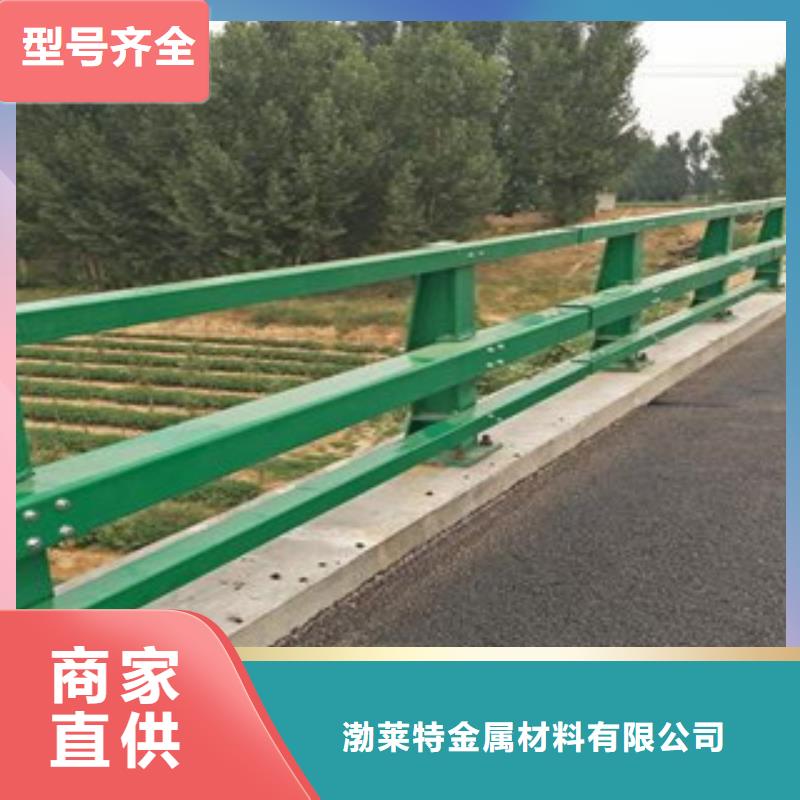 桥梁护栏规格生产安装辰铭供应商