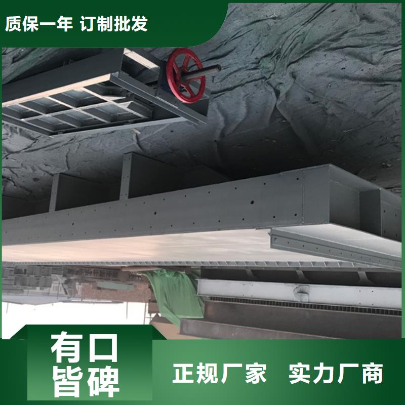 广西贺州本土市平面动滑轮钢制闸门
