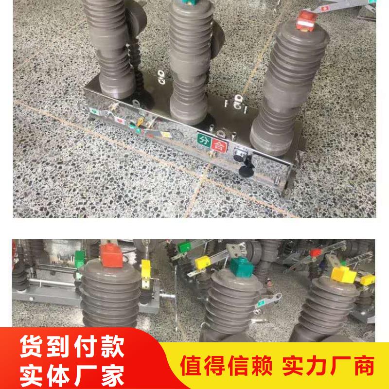 真空断路器,高压限流熔断器实力大厂家