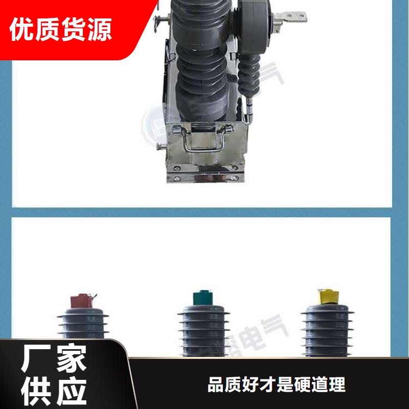 【真空断路器】高压限流熔断器品牌大厂家