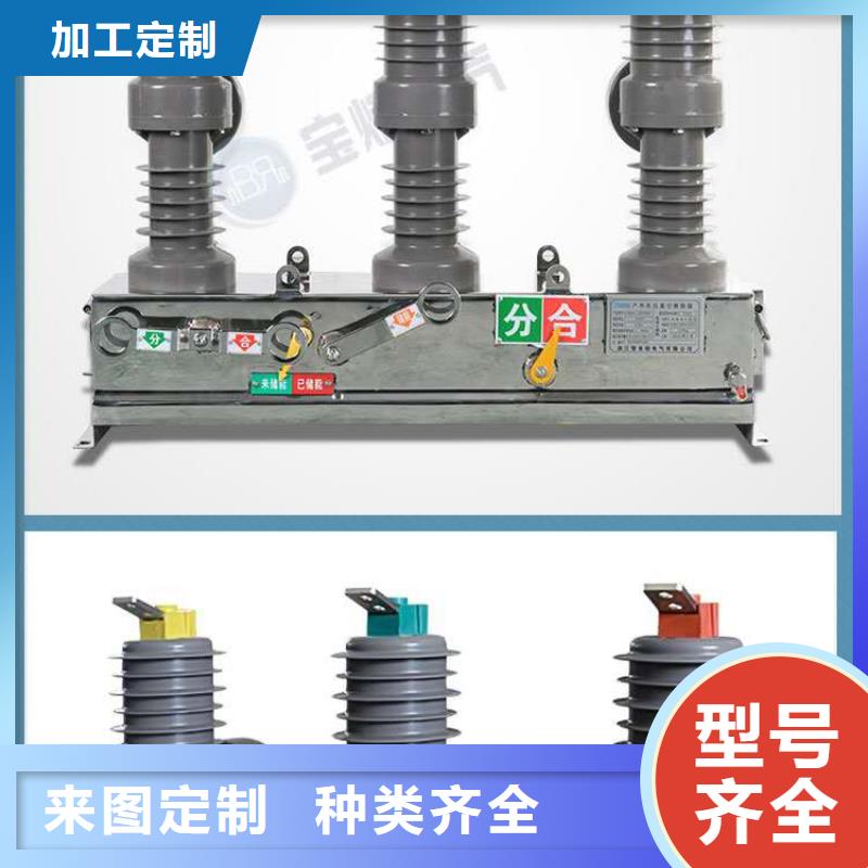 生产厂家高压真空断路器避雷器型号齐全