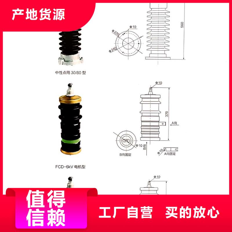 湖南购买避雷器HY10WT-41/115生产厂家