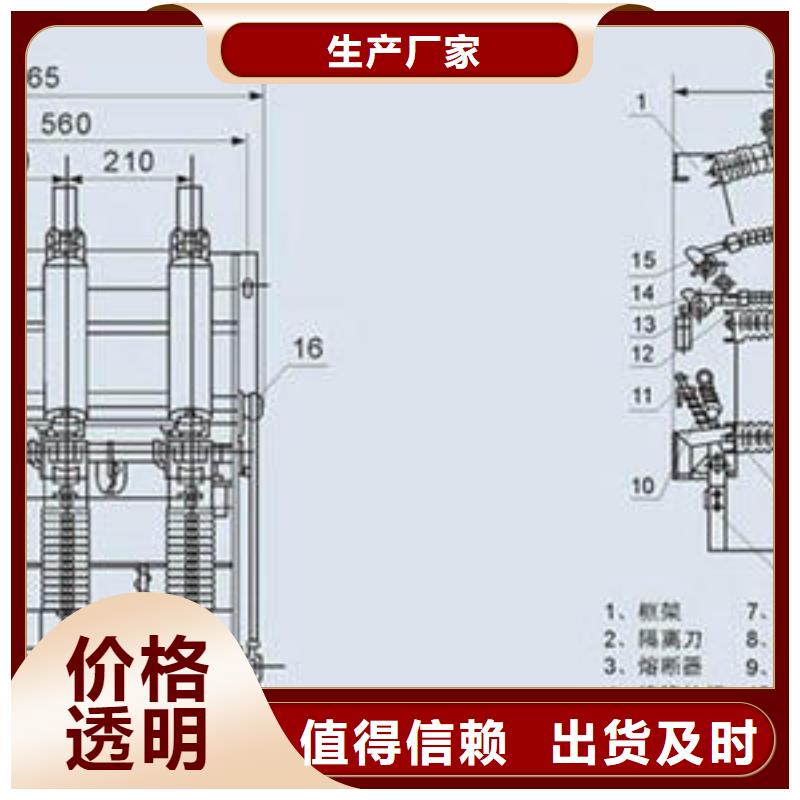 10KV真空负荷开关FZN25/FKN12-12RD/T630A125A现货