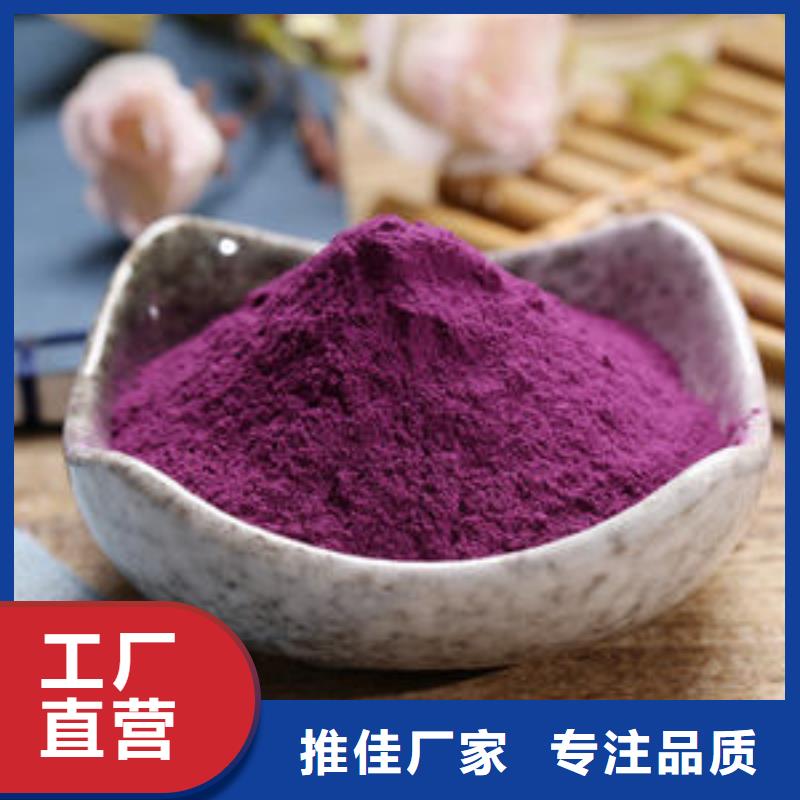脱毒紫薯苗（绫紫品种）麦茬苗