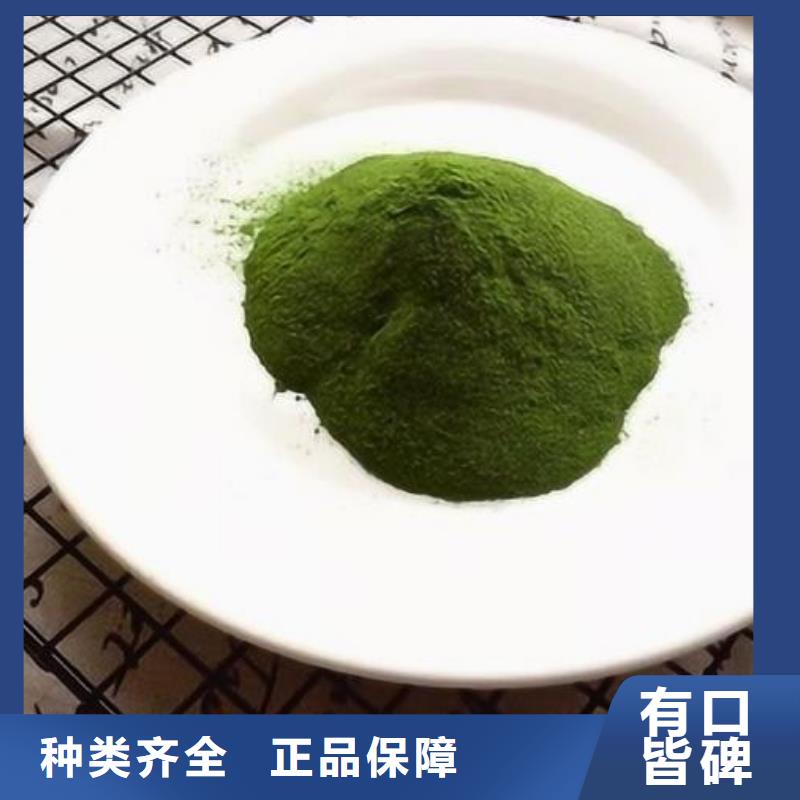 《河南》 <乐农>菠菜粉质量优_河南产品案例