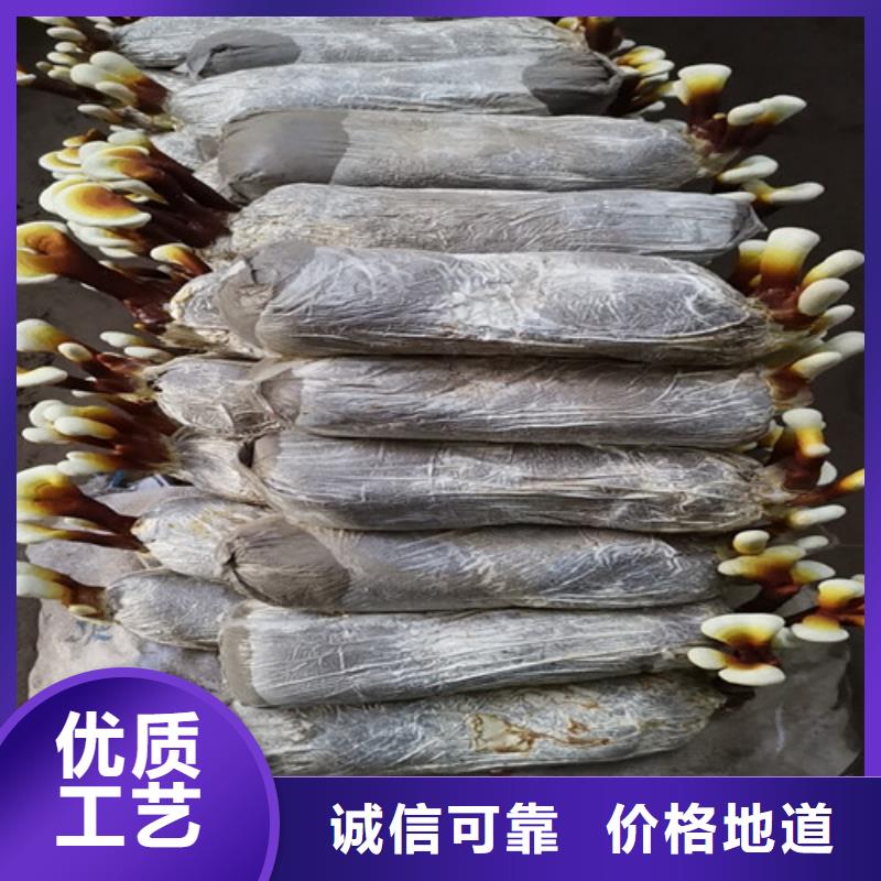 破壁灵芝孢子粉怎么吃好吃