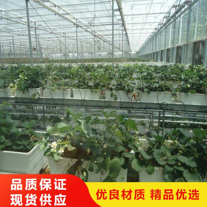 贡嘎县种植大棚采购