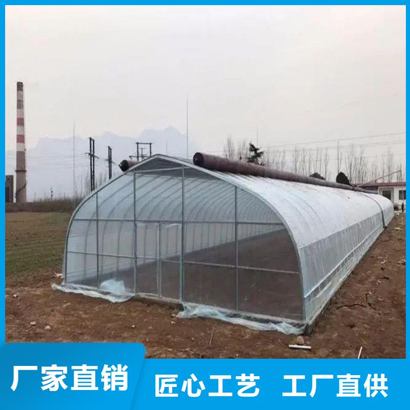 宝丰连栋大棚种植批发价格2024