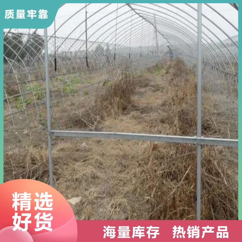 余庆县连栋大棚骨架管哪里