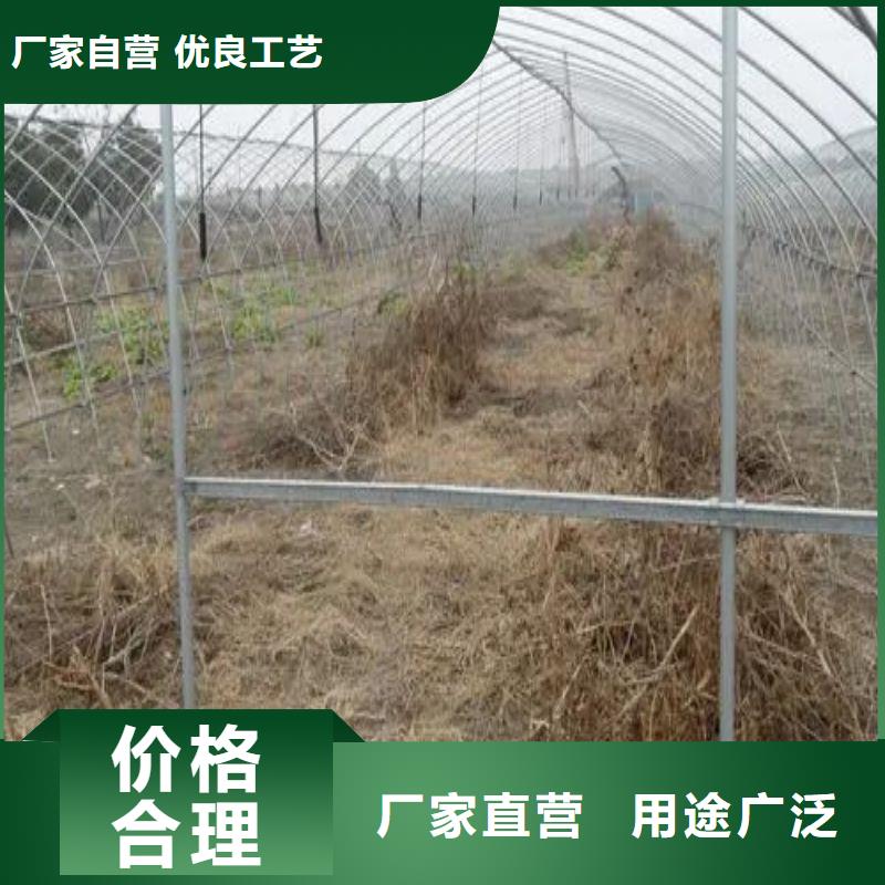 胶州塑料薄膜大棚免费咨询