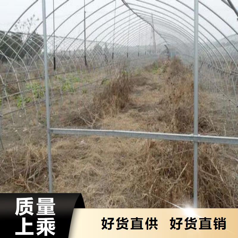 奉新县天津大棚管厂家泽沃品质无锡大棚管厂家供应处