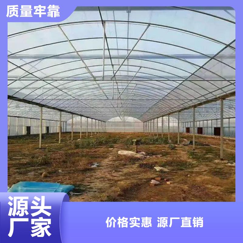 新县连栋大棚种植产品介绍2024