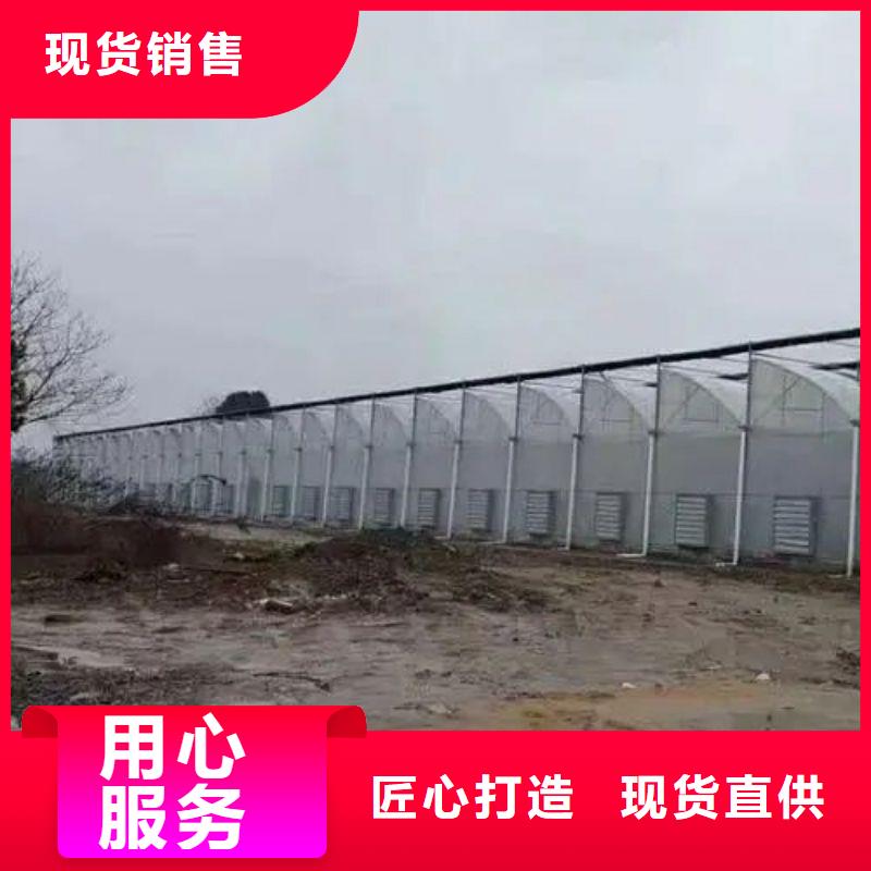 宝应连栋大棚种植价格2024