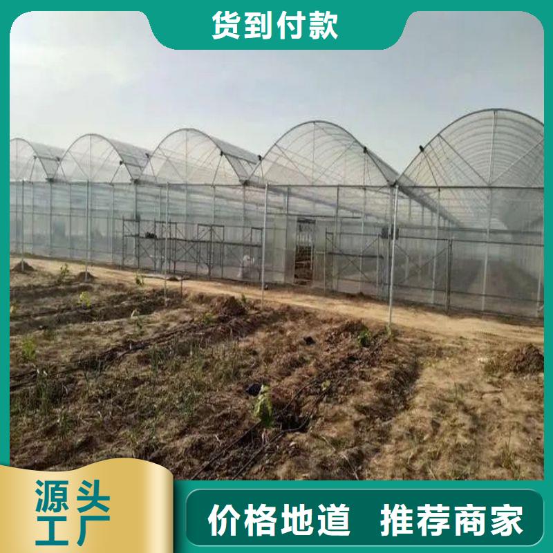 缙云县种植大棚下单