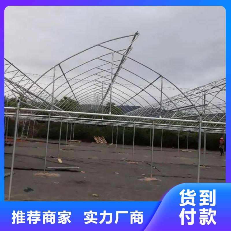 广东省汕头市金砂街道农用8米大棚管制造厂家